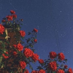 Meet your Posher, Karin